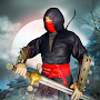 Ninja Assassin Shadow Fighter