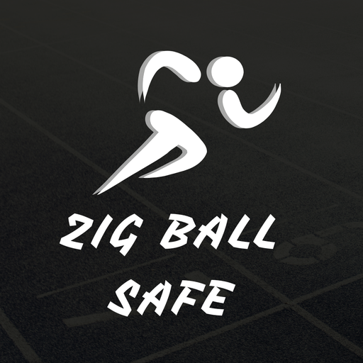 ZigBallSafe