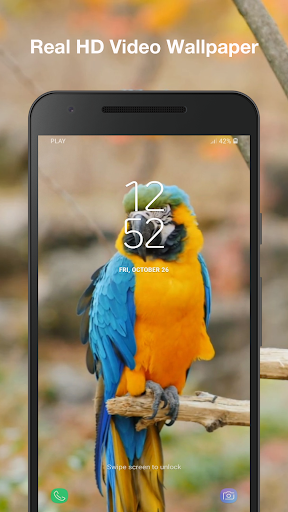 3d Birds Live Wallpaper Screen 3