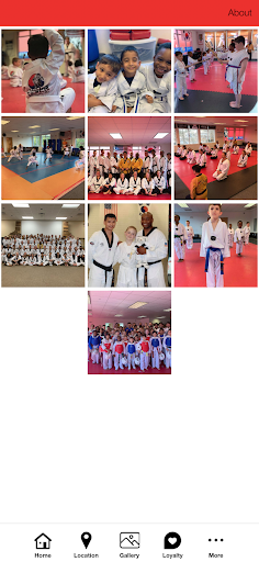 King Tiger Tae Kwon Do Screen 2