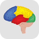 Brain Challenge - Game Trainer icon