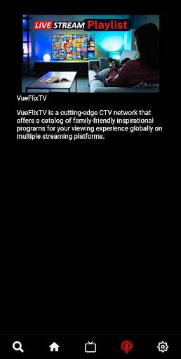 VueFlixTV Screen 2