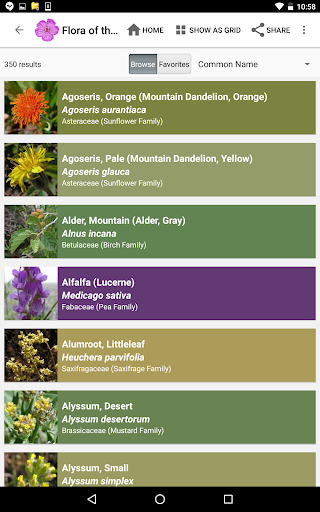 Screenshot of Flora of the Wasatch