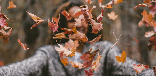 Autumn Wallpaper Aesthetic