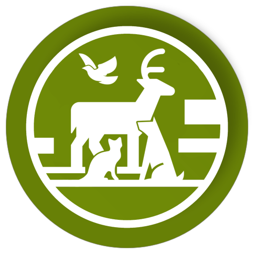 Animal Live Cams logo