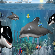 Sea Animals Memory Learning Games