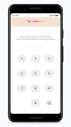 Vidpay Screen 2