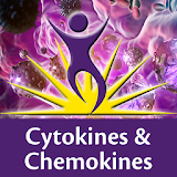 BL Cytokines & Chemokines icon