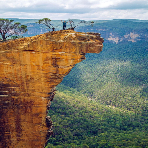 wallpaper australia logo
