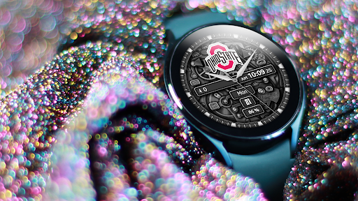 OHIO STATE BUCKEYES GAMEDAY WA