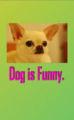DogIsfunny - Screenshot 3
