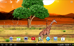 screenshot of Safari Live Wallpaper