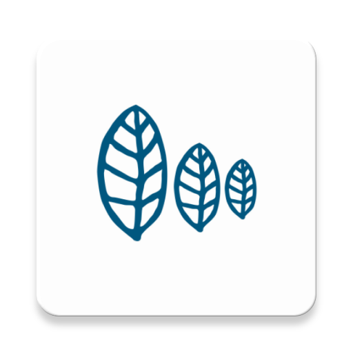 Healoonow logo