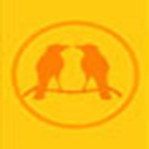 Birdy logo