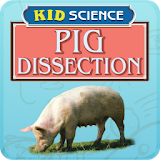 Kid Science: Pig Dissection icon