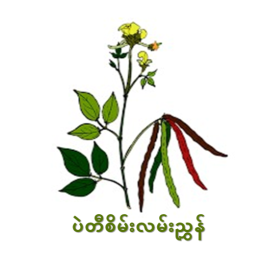 Green Bean Guide logo