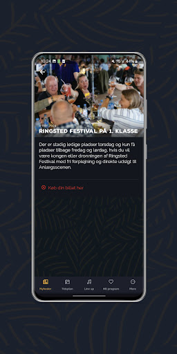 Ringsted Festival Screen 3