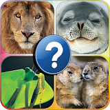 Gotcha Royal Animals Quiz icon