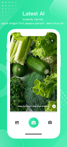 FruitVegetableSnap -Identifier Screen 2