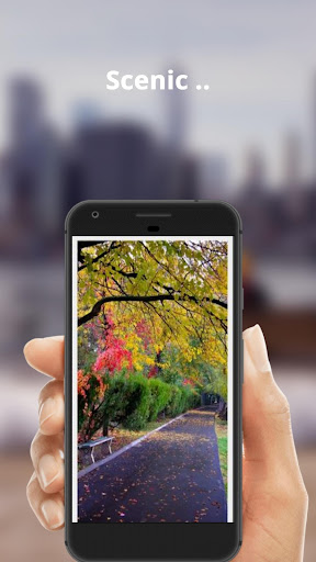 Nature Landscape Pathway HD Wa