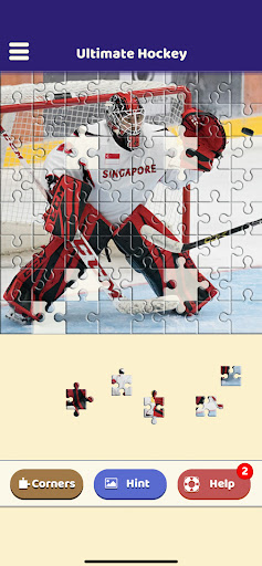 Ultimate Hockey Puzzle