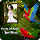 Parrot DP Maker – Love Birds Install on Windows