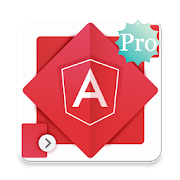 Learn - AngularJS Pro