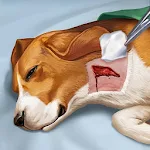 Cover Image of Herunterladen Operate Now: Animal Hospital 1.11.8 APK