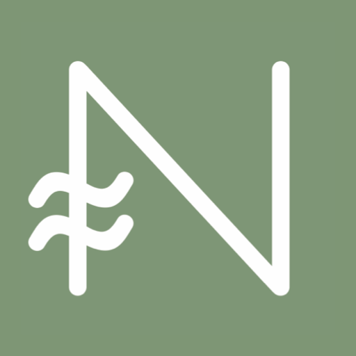 NAIO Palomino logo