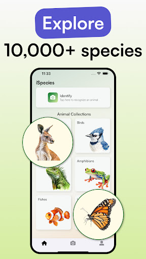Animal Identifier - iSpecies
