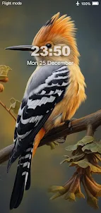 Bird Wallpaper HD