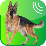 Dog Whistle, Trainer 2019 icon