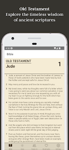 Bible Mentor App