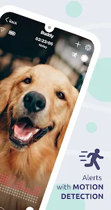 Buddy: Dog Monitor & Pet Cam