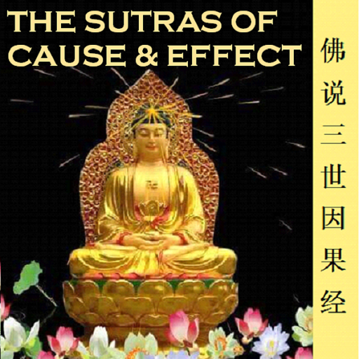 Cause&Effect Sutra 三世因果经 logo