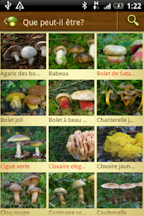 Aperçu de l'application
