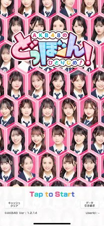 Game screenshot The AKB48's Dobon! mod apk