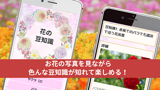 花の豆知識 名前の由来や花言葉 Screen 2