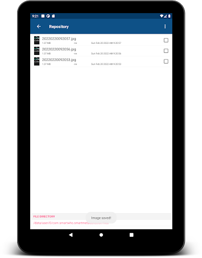 Screenshot of Magnetic Field Meter