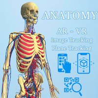 Анатомия AR - человеческое тел