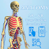 Anatomy AR - A view of the human body in real life1.2