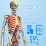 Anatomy AR - A view of the human body in real life