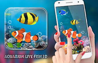 水族館 魚 ライブ壁紙 19 コイ 魚 無料 Google Play のアプリ