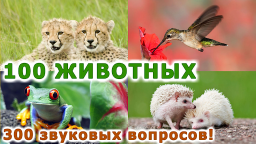 Android application Животные для детей и малышей screenshort