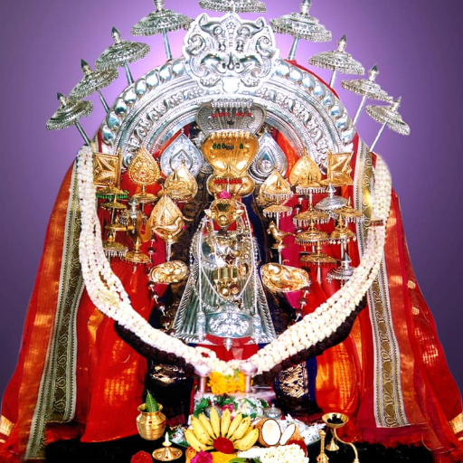 Shree Jenukal logo