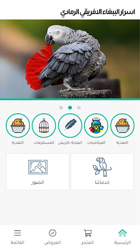 Android application اسرار الببغاء الافريقي الرمادي screenshort