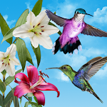 Cover Image of 下载 Birds Live Wallpaper Free 30.0.1.7 APK
