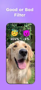 Accurate Filter: Emoji Game