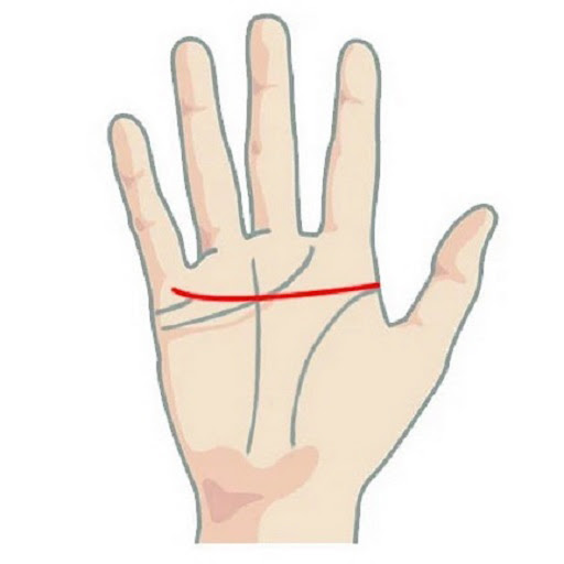 palmistry line of fate