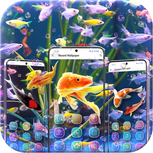 Cute Fish Wallpapers HD - AppWisp.com